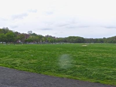 bronx free things to do bronx free summer concerts in tremont park in the bronx nyc