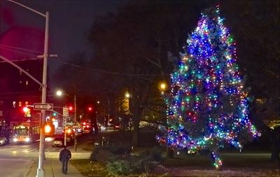 bronx holiday events bronx holiday things to do events bronx holiday tree lightings bronx nyc