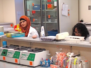 medical technicians elmhurst hospital queens