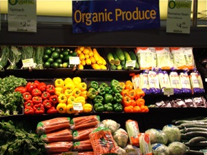 new york city organic food nyc organic food bronx
