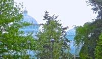 ny botanical gardens photo things to do norwood neighborhood bronx things to do nyc