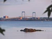 maritime museum whitestone bridge photo things to do throgs neck bronx nyc