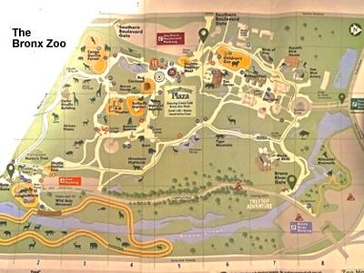 bronx zoo map bronx history of bronx zoo norwood fordham belmont bronx nyc