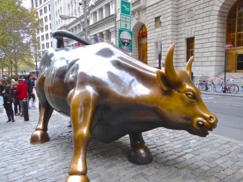 wall st bull photo manhattan nyc