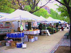 farmers markets in queens