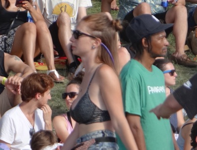 panorama music fest scene